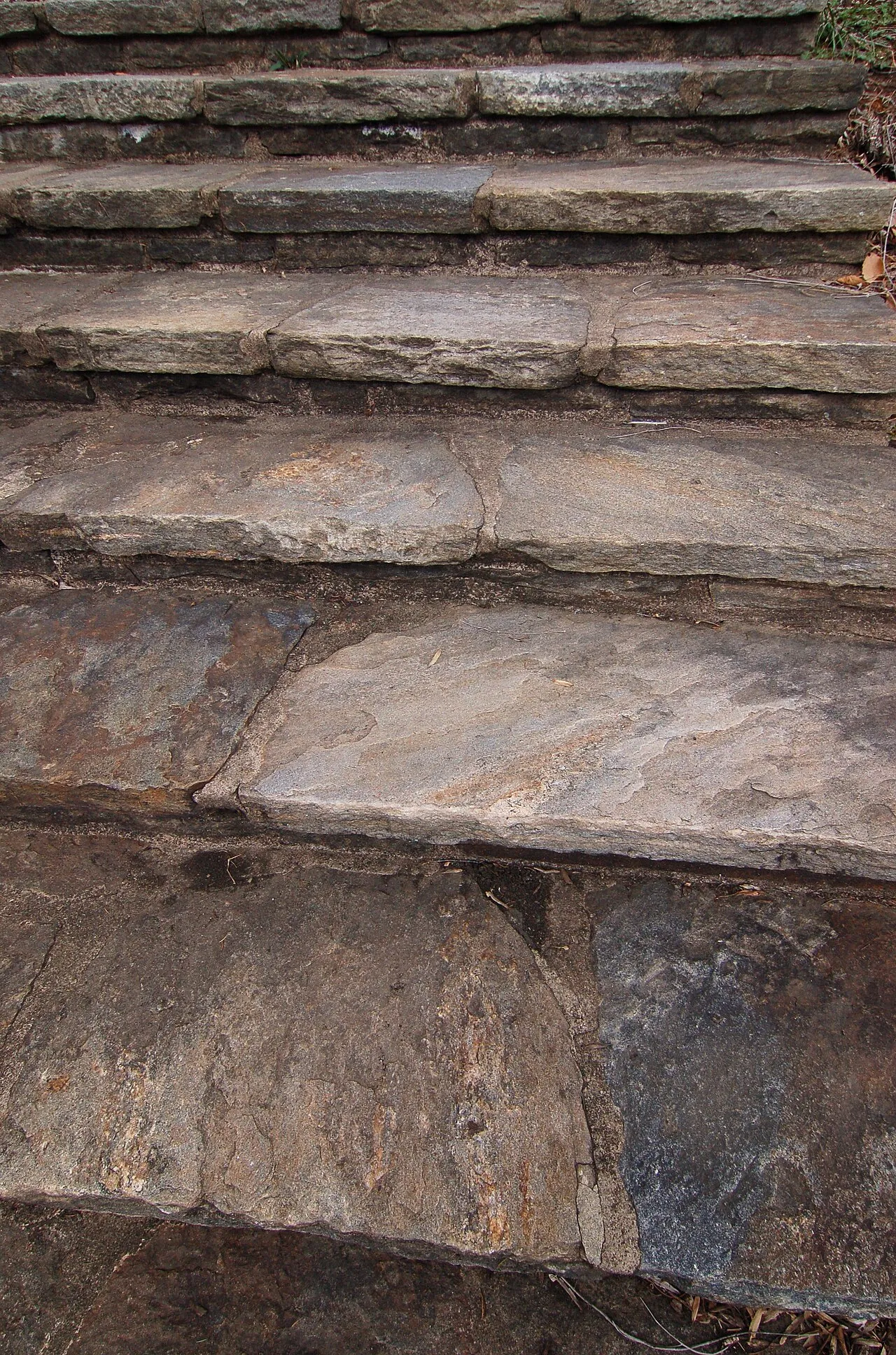 Wide stone steps leading through a landscaped garden